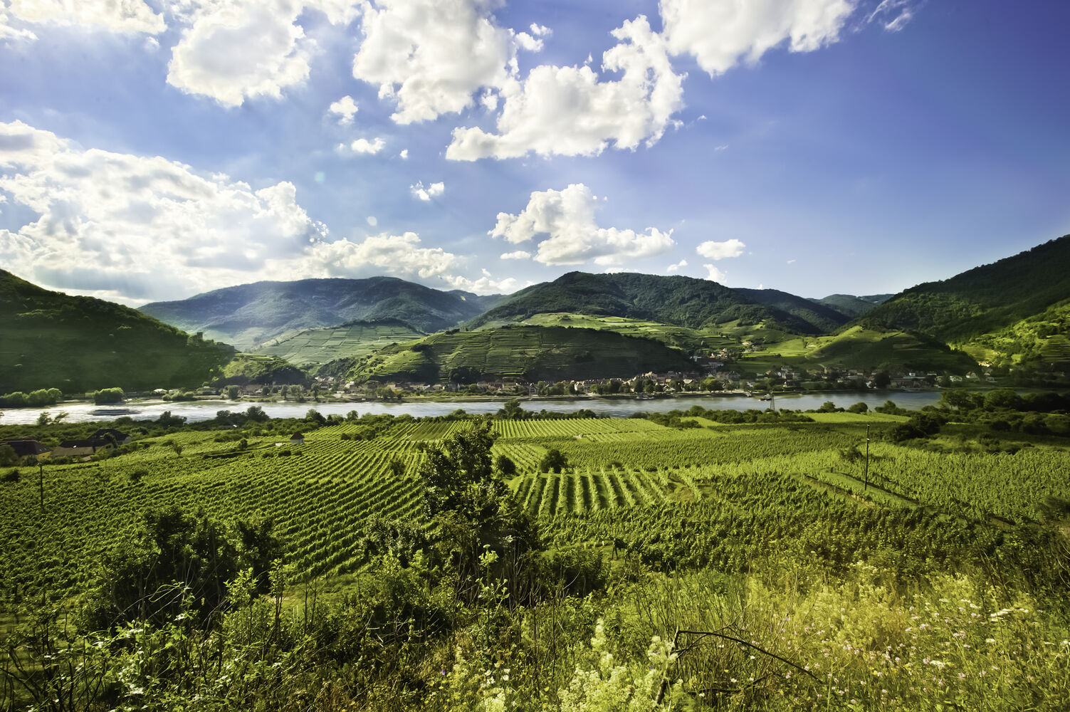 Donau Niederösterreich