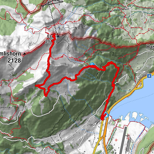 Zahnradbahn Alpnachstad Pilatus Kulm Esel Oberhaupt