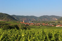 Letný región