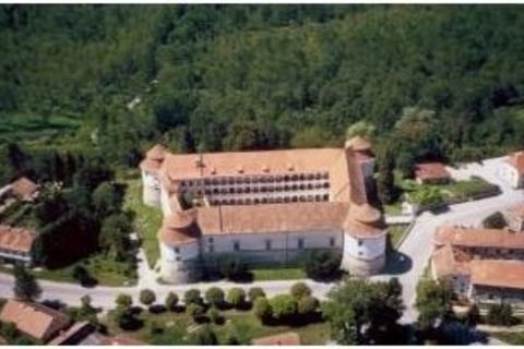 Schloss Brežice