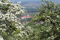 Regione estiva