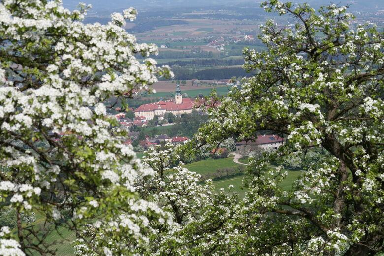 Seitenstetten