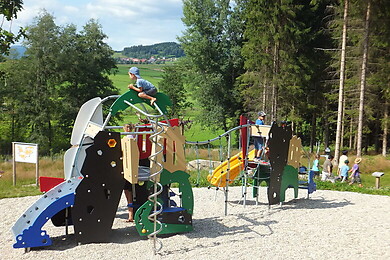 Rinchnach
