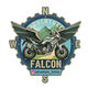 Avatar iz @Adventure_falcon