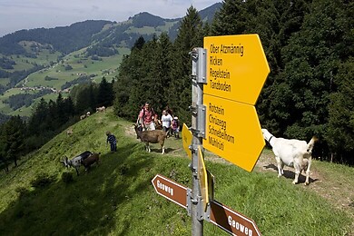 Goldingen - Atzmännig