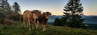 Weitnau