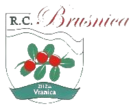 Logotip Brusnica / Fojnica