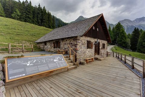 Alte Nessler Thaja in Pettneu am Arlberg