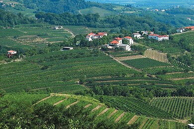 Volčja Draga