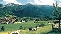 Letní region