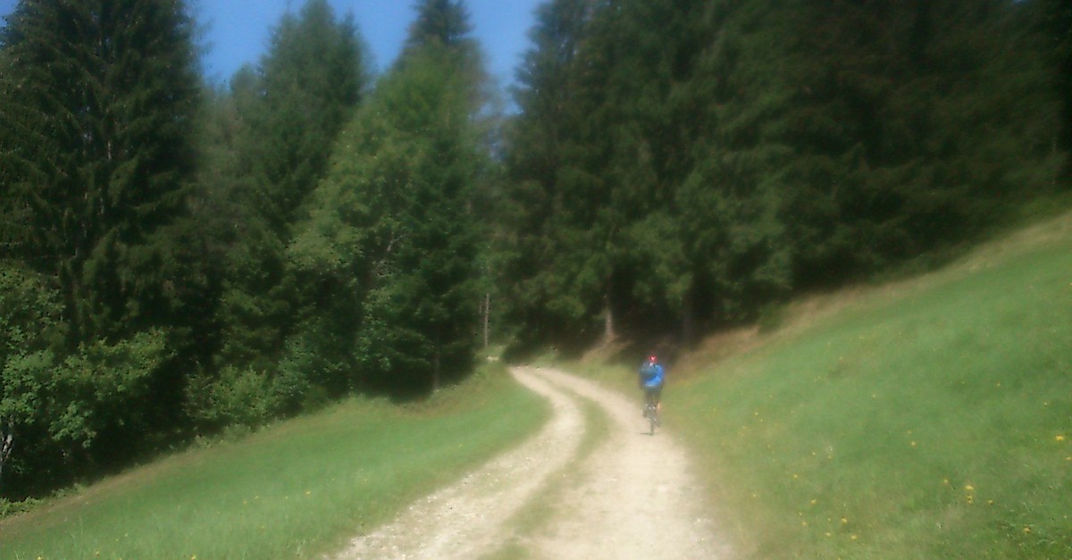 M Rzzuschlag Kaarlh Tte Malleistenalm H Nigsbergeralm Bergfex