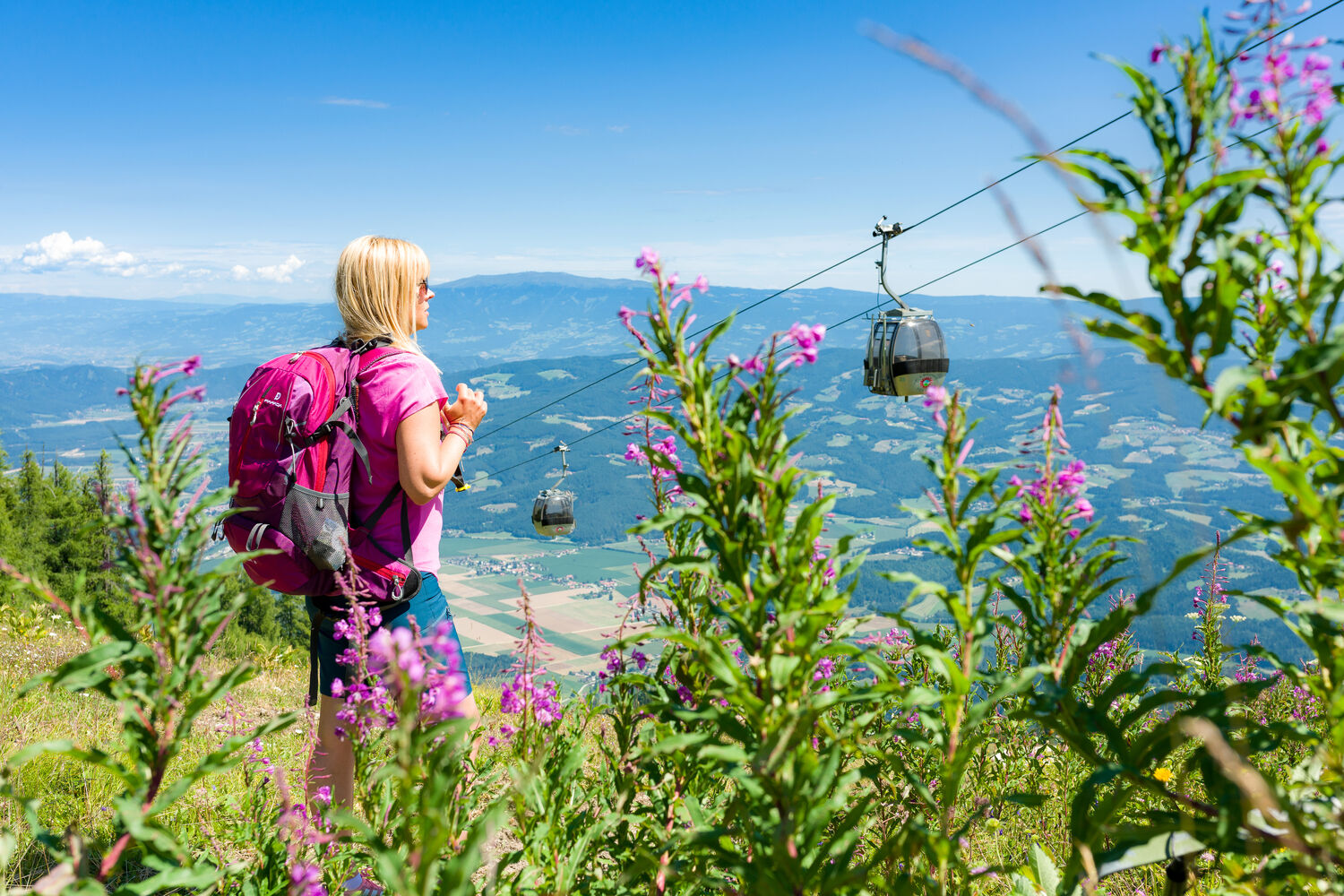 Feistritz ob Bleiburg