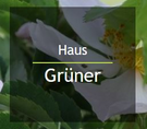 Logotipo Haus Grüner