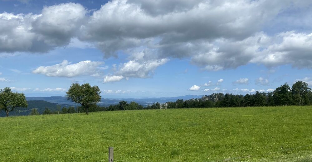 Schönthal Lauchflue BERGFEX Wanderung Tour Basel Region