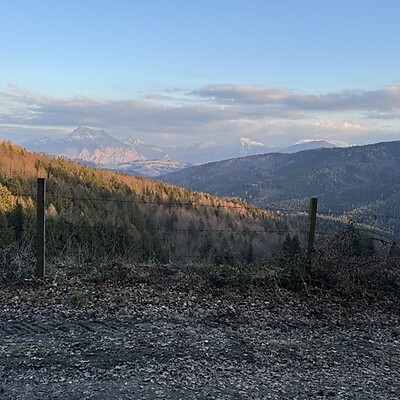 Avatar z Gerald Heindl