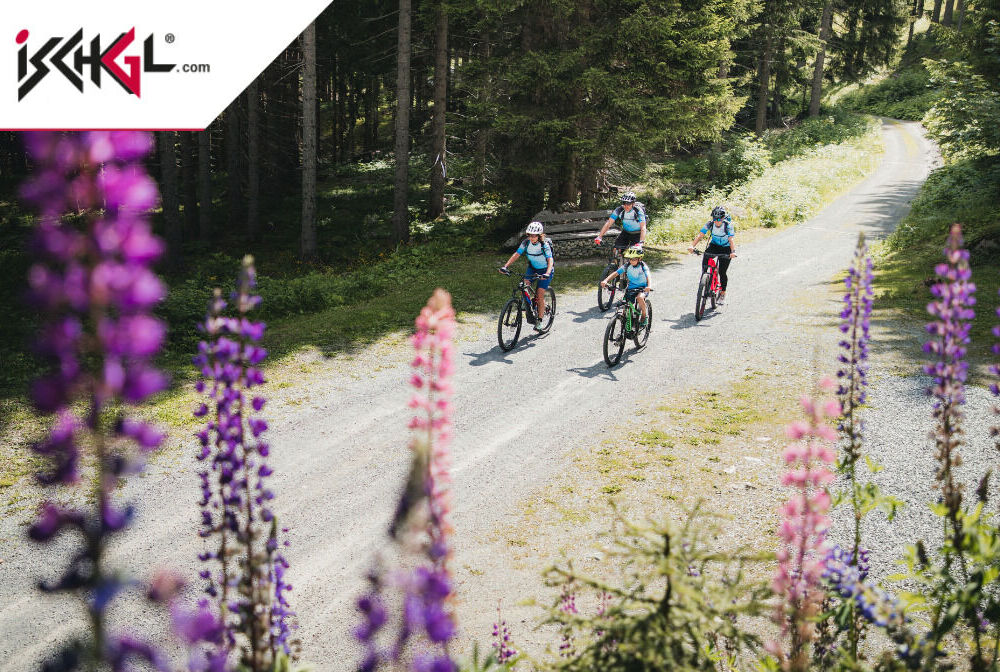 E-Bike