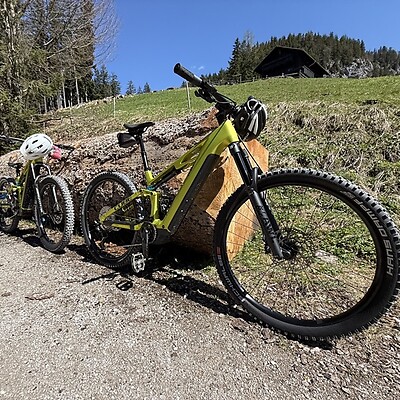 Avatar iz Wolfgang Holzer