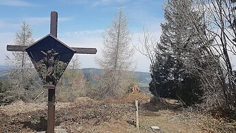 MTB-Hochplett-Runde mit Wanderung auf die Hochplettspitze