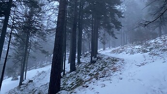 Noch 200m Aufstieg zum Parkplatz...