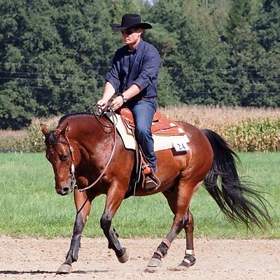 Avatar de Werner Etzelsdorfer
