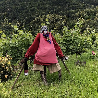 Avatar von Abu68