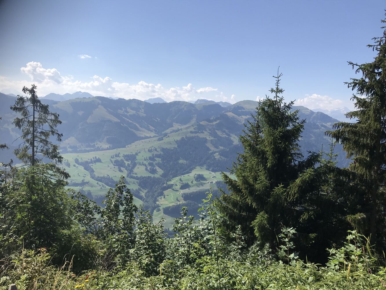 Oberwil im Simmental