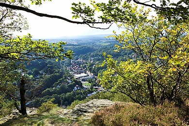Taunus
