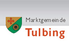 Логотип Tulbing