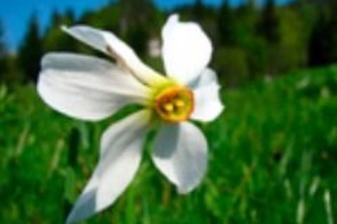 Prlekija - Naturerbe