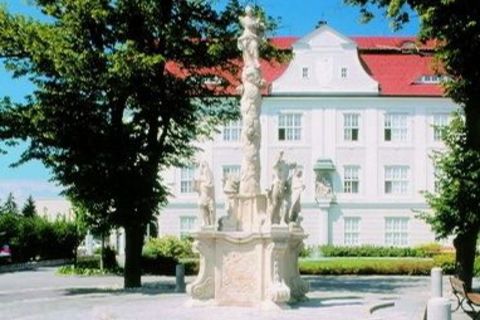 Immaculata-Säule auf dem ehemaligen Anger in der Landstraße vor dem Pflegeheim
