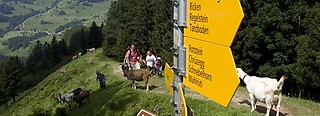 Goldingen - Atzmännig