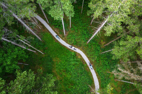 Mountain biking - Endlessly through the terrain.