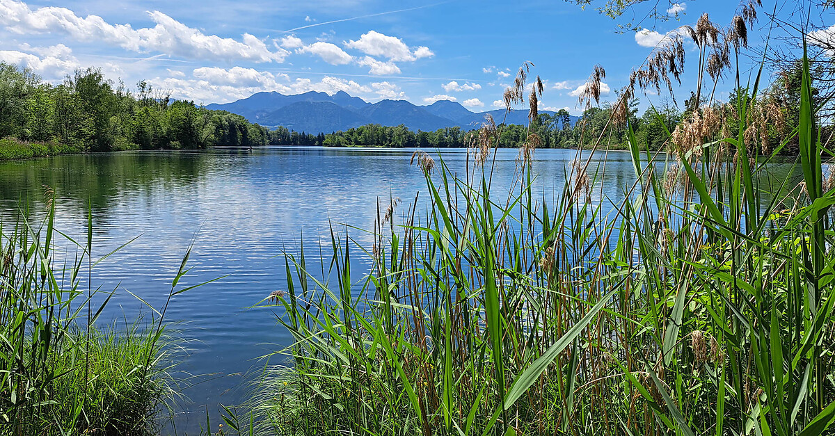 bergfex-badesee-happinger-see-angelegter-badesee-see-baden