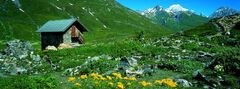 Letní region
