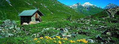 Mont Blanc