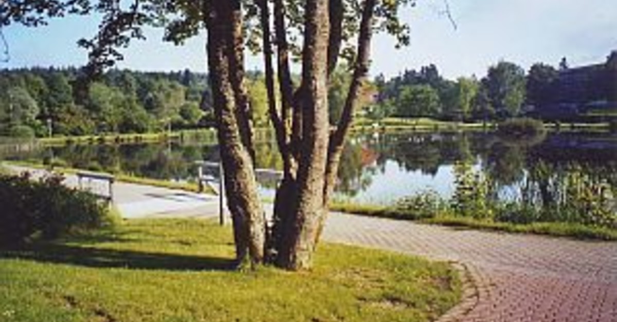 BERGFEXSehenswürdigkeiten Kurpark, Kranicher Teich und