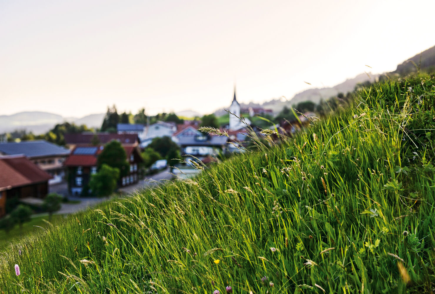Riefensberg