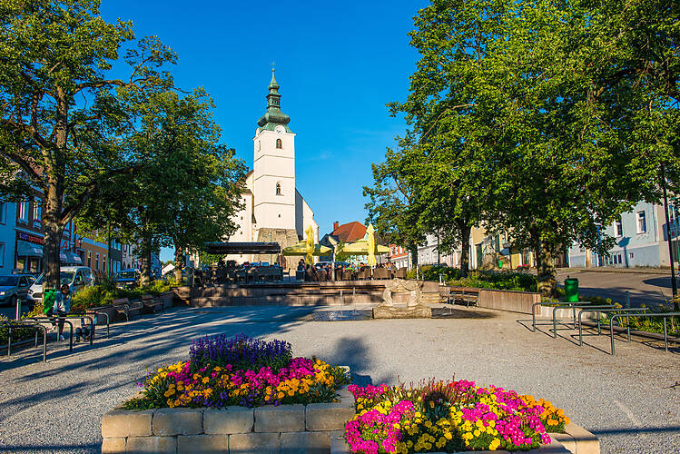Litschau