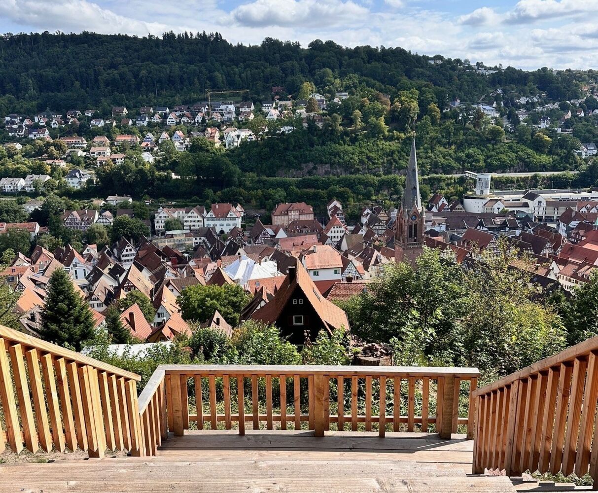 Calw