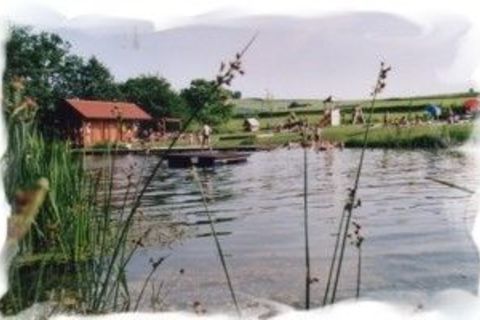 Teich