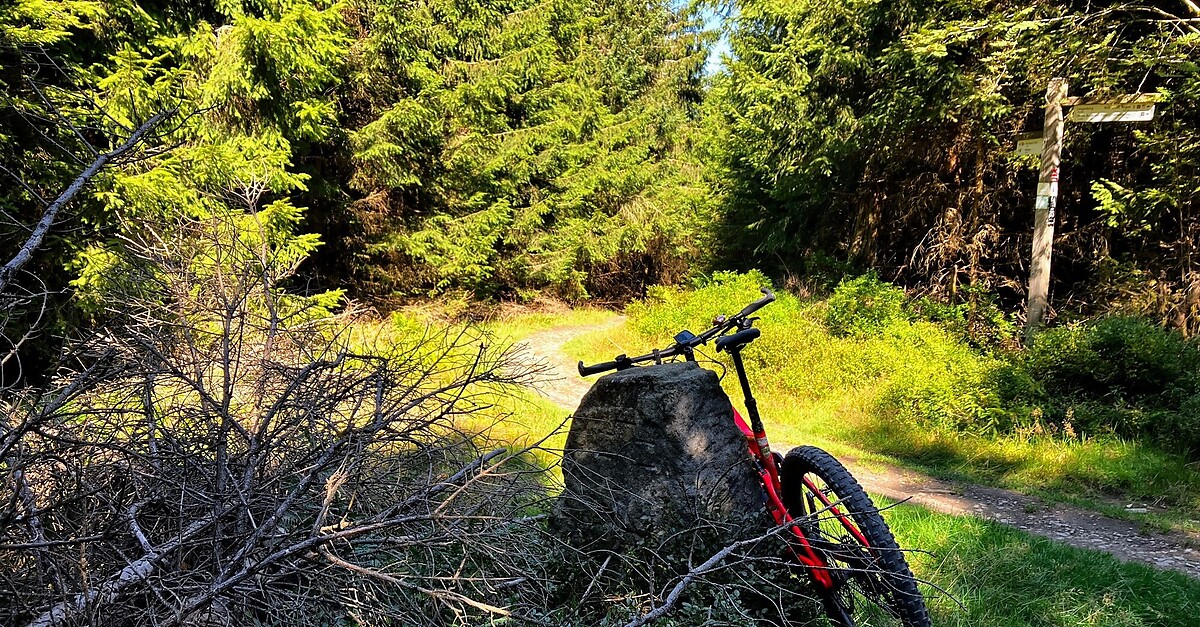 mountainbike tour hessen