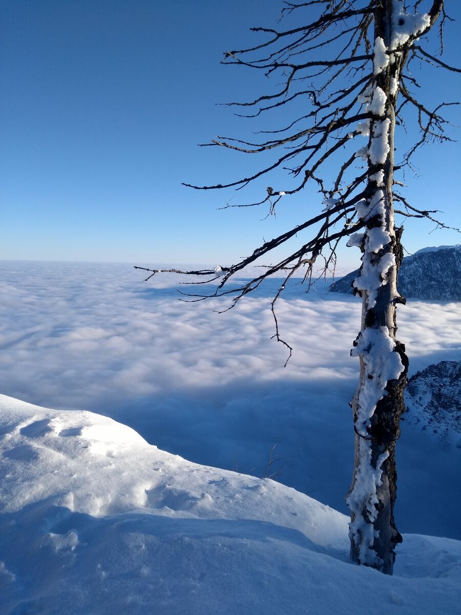 PistenplanSkigebiet Predigtstuhl / Bad Reichenhall