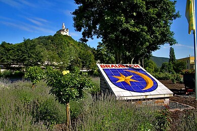 Braubach
