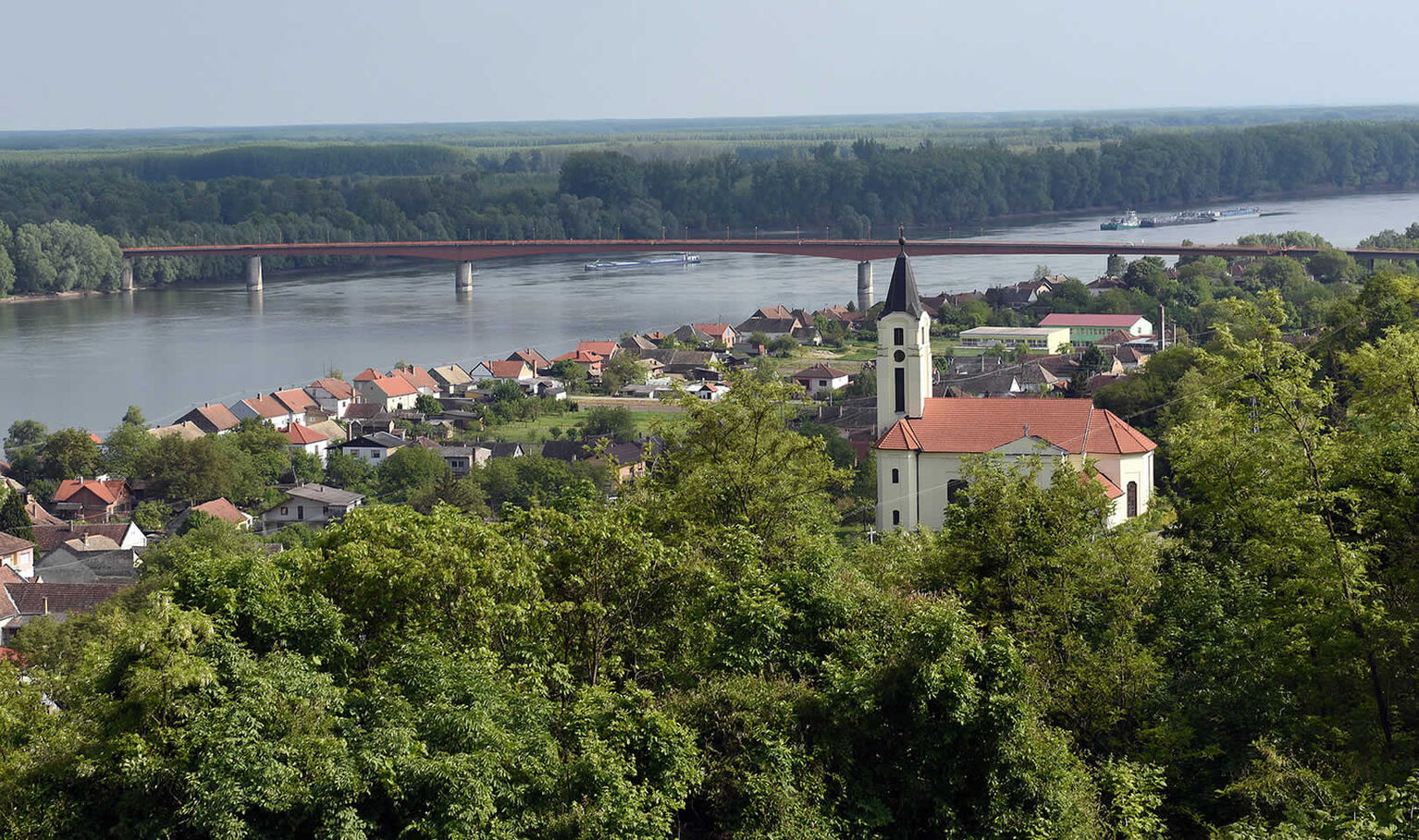 Draž