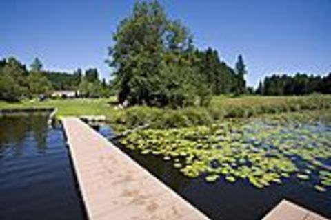 Faulensee Steeg