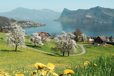 Hergiswil