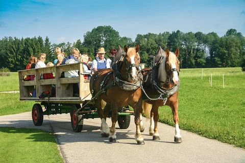 Kutschfahrten Wolferstetter