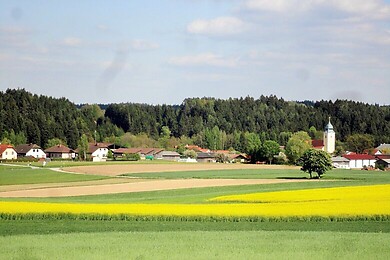 Waldenstein