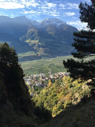 Kortsch