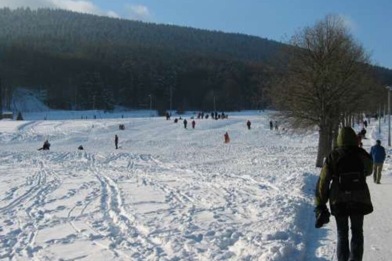Inselsberg